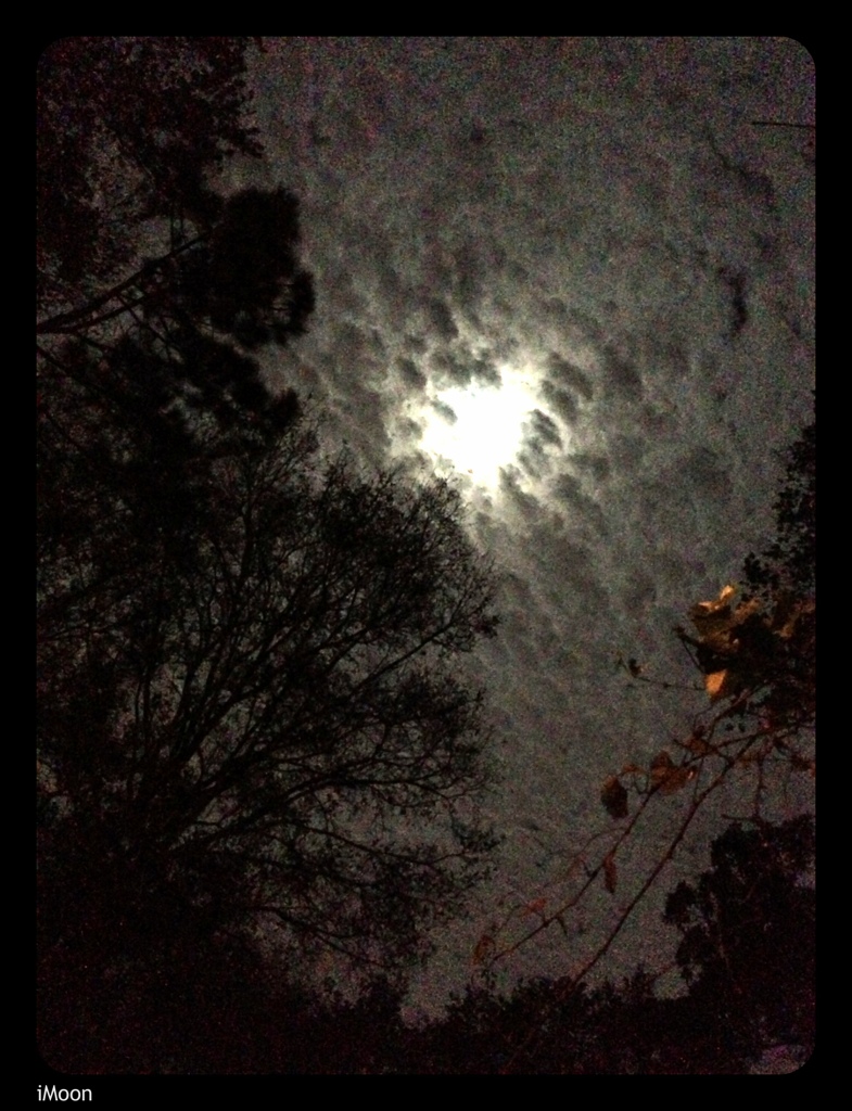 20130225-225849.jpg